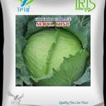 Iris seeds Profile Picture