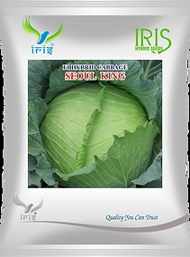 Iris seeds Profile Picture
