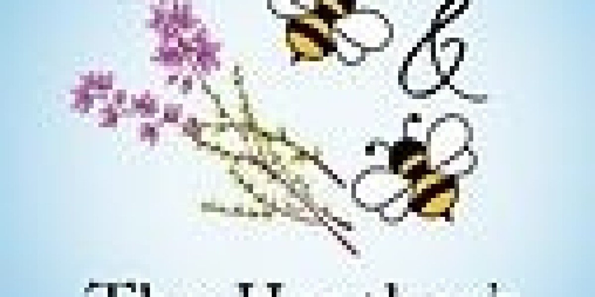 How Can The Best B&B Southcoast Dorset