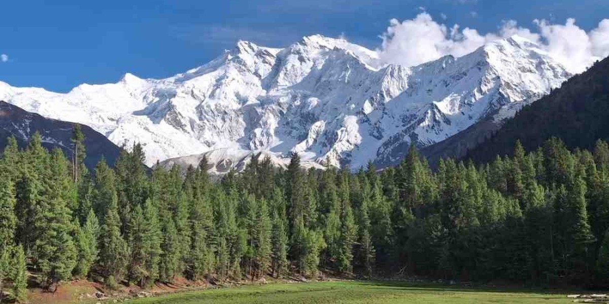 Nanga Parbat Expedition 2026 | Ultimate Himalay