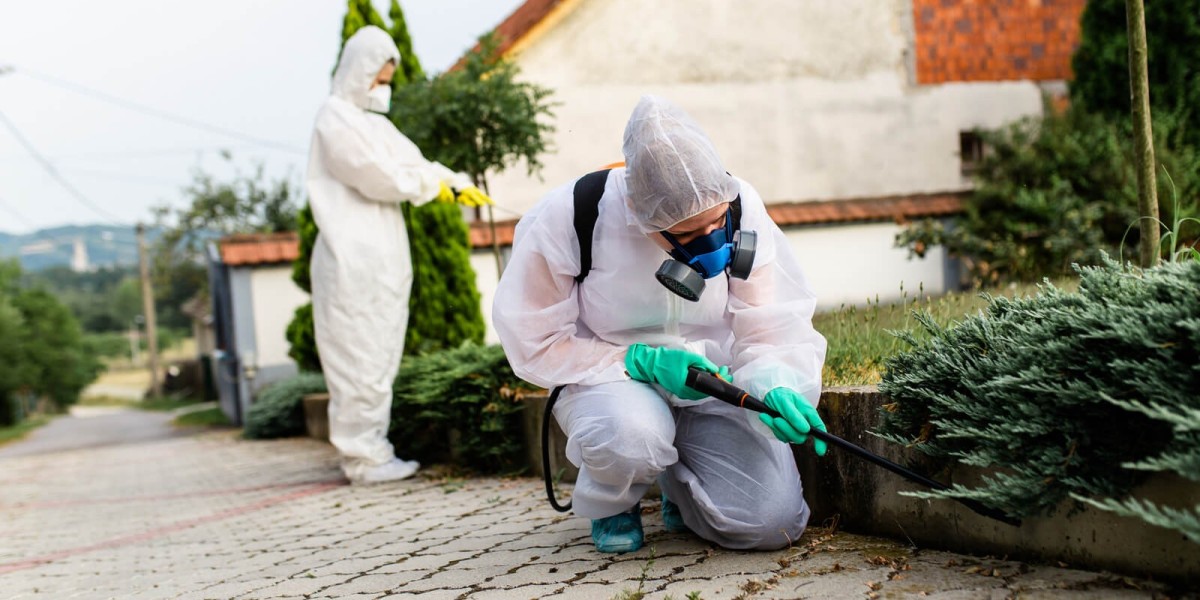 Pest Inspections for Early Detection and Proper