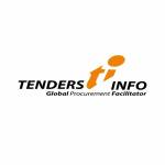 TendersInfo Profile Picture