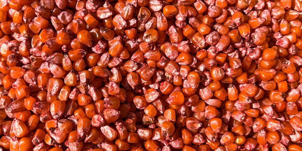Seed Treatment Market Research