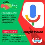 Buy Google Voice Accounts Profile Picture