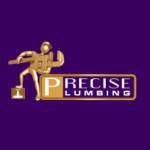 Precise Plumbing & Drain Services Profile Picture