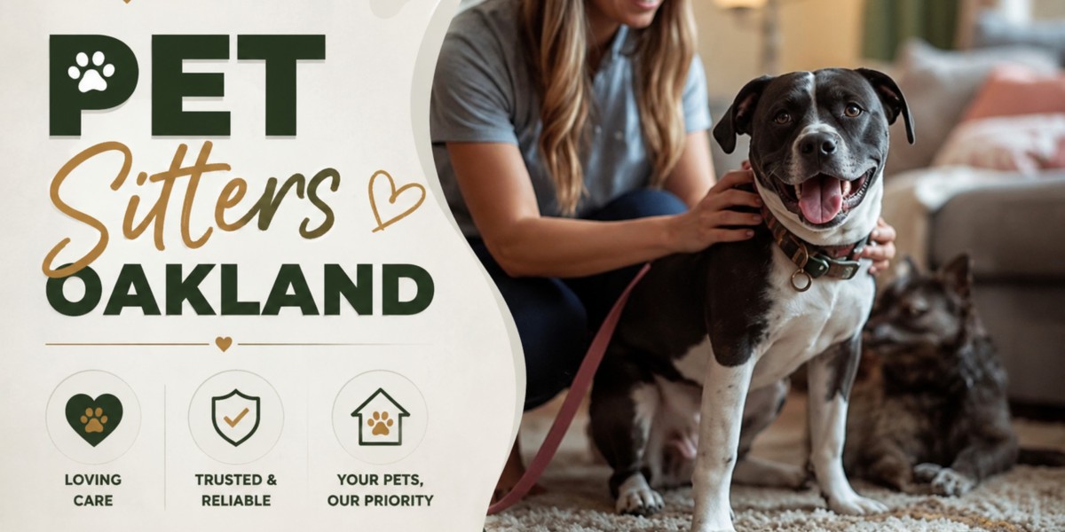 Personalized Pet Care That Keeps Dogs Happy and