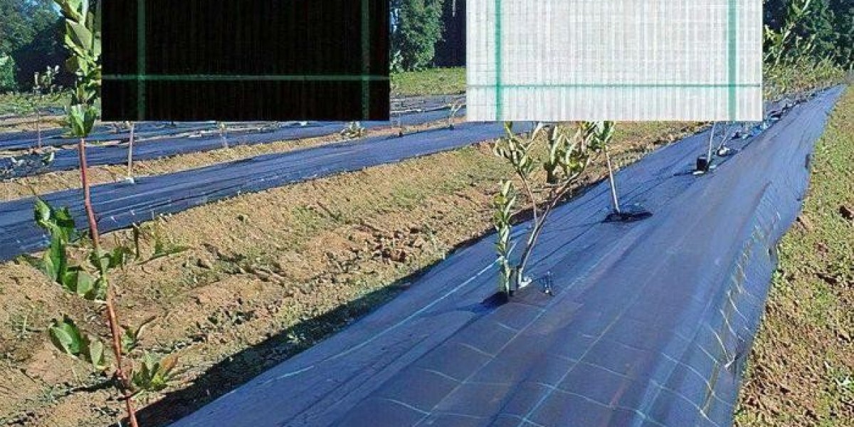 Agricultural Textiles Market Impacting Factors