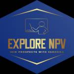 Explore NPV Profile Picture