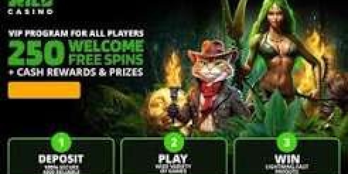Best Free Cash Bonus No Deposit Casino: Top Off