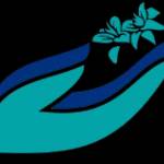Orchid Medical Centre Profile Picture