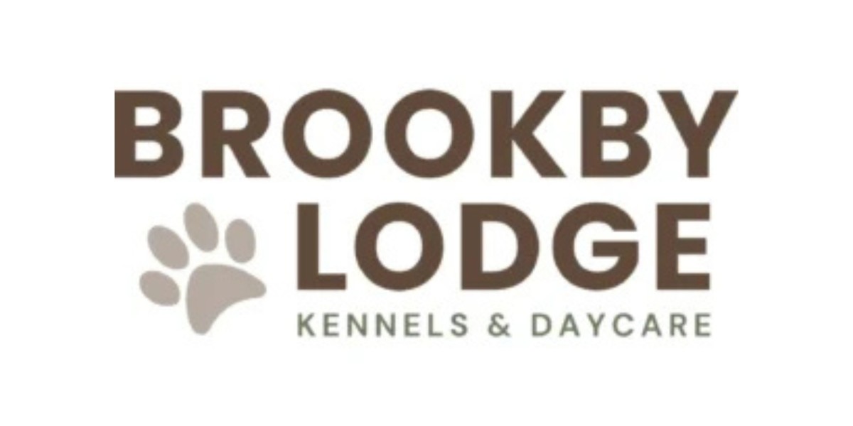 Reliable Dog Daycare and Boarding Services