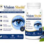 Vision Sheild India Profile Picture