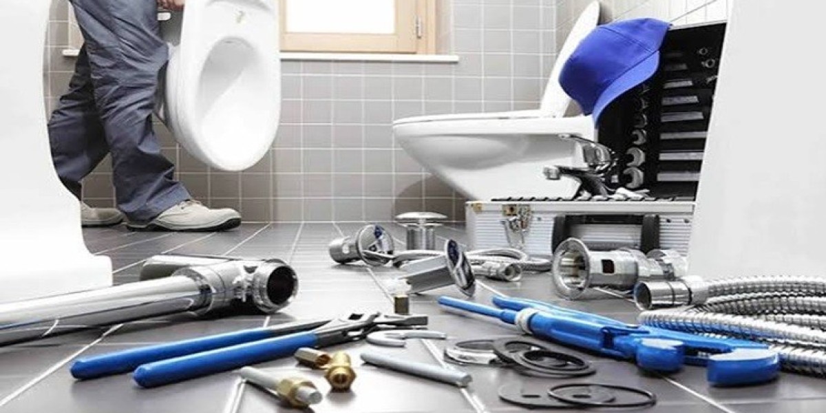 Toilet Installation in Delhi