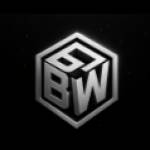 Business Warriors Profile Picture