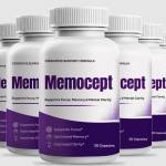 memocept memocept Profile Picture