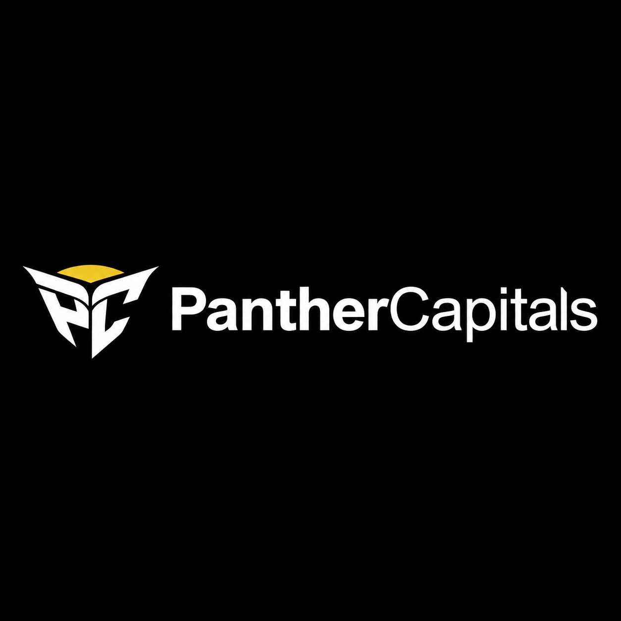 Panther Capitals Profile Picture